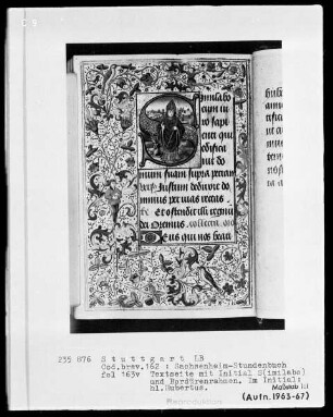Lateinisches Stundenbuch (Sachsenheim-Gebetbuch) — Textseite mit historisierter Initiale und Drolerien, Folio 163verso