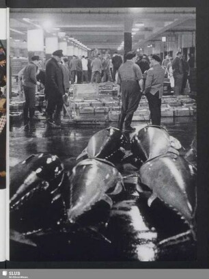 Auktion in der Fischhalle
