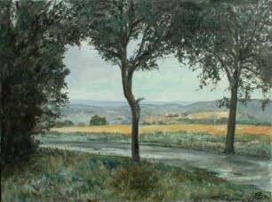 Verregnete Straße