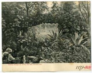 Portland, Oregon. Looking Through the Grotto. City Park