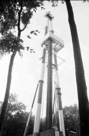 Freiburg: Bohrturm durch Äste mit Richtkrone