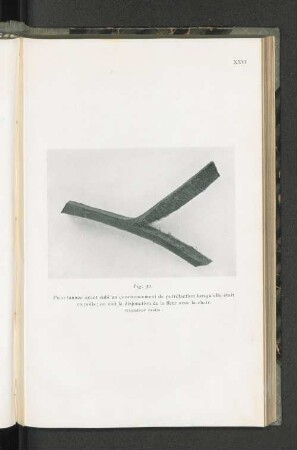Fig. 30.