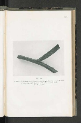Fig. 30.