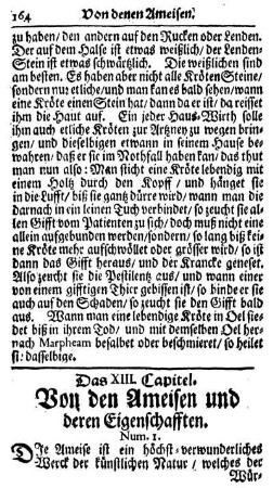 Das XIII. Capitel. Von denen Ameisen und deren Eigenschafft.