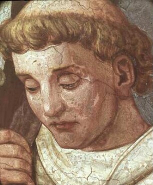 Doctores Ecclesiae et Ordinum Fundatores
