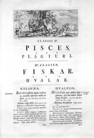 Pisces / Fiskar