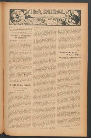 Comercio de uvas en California