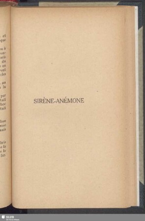 Sirène-Anémone