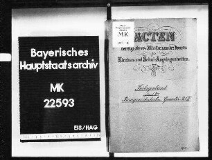 Organisation der Baugewerksschulen und Baugewerkslehrlingsschulen. Wiedereinführung der Meisterprüfung für das Baugewerbe. Beilagenband zu Bd. 4.