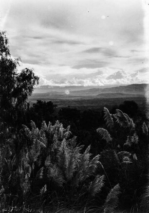 Becken von Cochabamba : Im Vordergrund viel Vegetation, im Hintergrund Gebirgszüge.