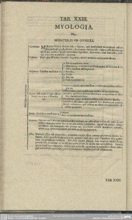 Tab. XXIII. Myologia. De Musculus In Genere