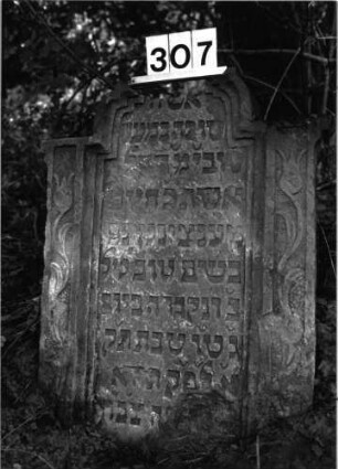 Grabstein 307 (Index: 99897613) Maße HxBxT: 76x59x12 cm Besonderheit: kulturhist. wertv. / künstl.-formale Gründe: Grabstein 307