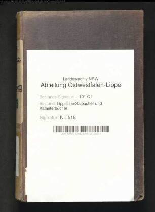 Salbuch der Stadt Blomberg von 1863, Bd. 1