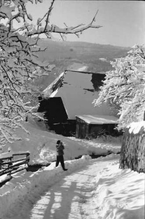 Oberried: Weg mit Bauernhaus im Schnee; Fräulein Ewerz fotografiert