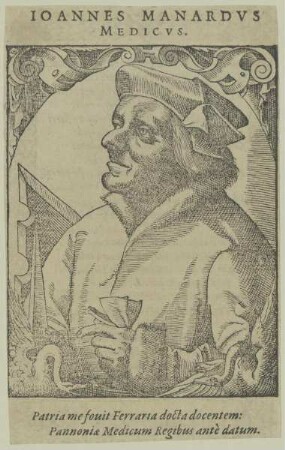 Bildnis des Johannes Manardus