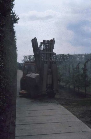 Fotografie: Obstbau, Pflanzenschutz