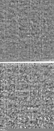 Lilienschild + IESV / LW = Bd.1, S.27/28+367/368