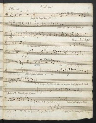 Violone