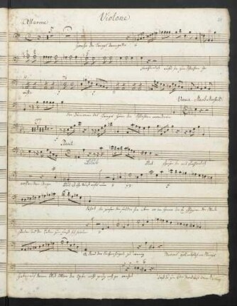 Violone