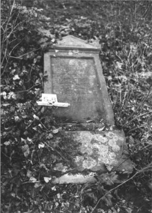 Grabstein 53 (Index: 100105908) Material: Sandstein Zustand: Stein liegend, stark verwittert mit Textverlust Maße HxBxT: 136x54x19 cm Beschreibung: Stele, Sockel, Giebel mit Eckakroteren, rechteckiges Schriftfeld eingetieft: Grabstein 53
