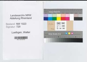 Entnazifizierung Walter Luethgen , geb. 25.11.1893 ()