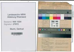 Entnazifizierung Gertrud Sturm , geb. 30.09.1922 (Telefonistin)