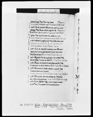 Evangeliar aus St. Pantaleon, Köln — Capitulare-Seite, Folio fol. 216v