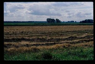 Land b. Fehrbellin 18.8.78.