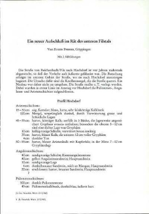 Ein neuer Aufschluß im Rät des unteren Filstals