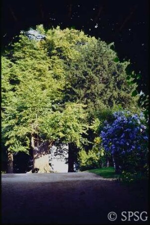 Berlin, Pfaueninsel, Schlosswiese.