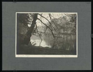 484, Am Weiher. (Nr. 3070).