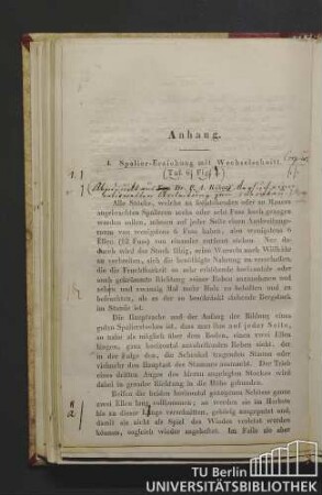 I. Spalier-Erziehung mit Wechselschnitt. (Taf. 6, Fig.7.)