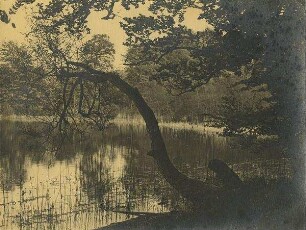 Weiher bei Hamburg