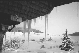Todtnauberg: Eiszapfen am Bauernhaus; Durchblick
