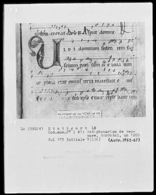 Antiphonarium de Tempore (Zisterzienserhandschrift) — Initiale V(IDI), Folio 173recto