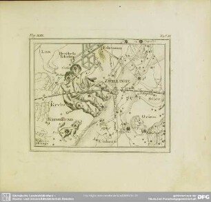 Fig. XIII
