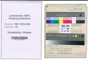 Entnazifizierung Wilhelm Grosshanten , geb. 14.03.1899 (Dienststellenleiter)