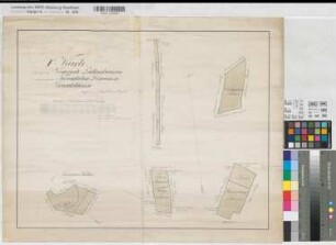 Lüdinghausen (Lüdinghausen) einzelne Domänengrundstücke 1823 100 Ruten = 15 cm 44 x 56 kol. Zeichnung Ziegert KSM Nr. 305