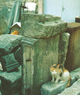 Friedhof. Katze zwischen Grabplatten
