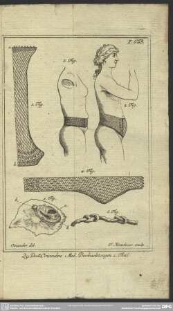 Zu Doct. Osianders Med. Beobachtungen 1. Theil
