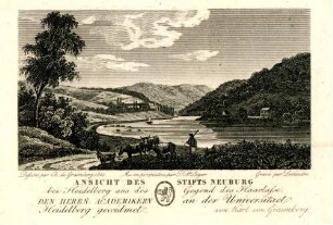 Ansicht des Stifts Neuburg bei Heidelberg aus der Gegend des Haarlass.