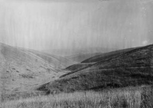 Tal : Blick ins Tal