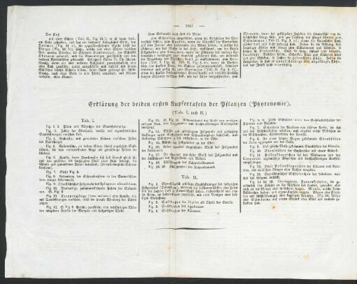 Erklaerung der beiden ersten Kupfertafeln der Pflanzen [...]