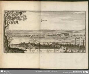Lauenau
