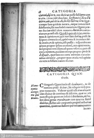 Categoria Quantitatis