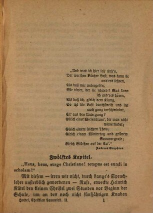 Erzählende Schriften, 14. Christian Lammfell ; 2