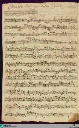 Concertos - Mus. Hs. 1004 : vl, strings; g; VeiI Zan4