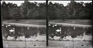Paris. Bois de Boulogne. Jardin d'Acclimatation