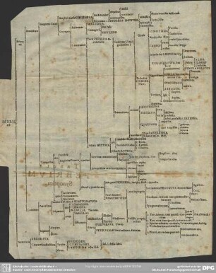 Tabula Febrium Synoptica