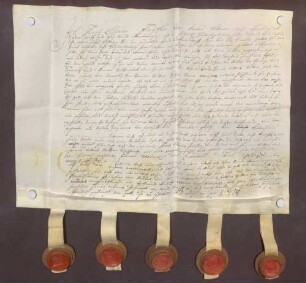 Instrumentum probationis des Lothar Franz Knebel von Katzenelnbogen.